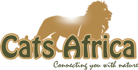 cats africa