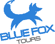 Blue Fox Tours